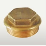 Brass Ppr Plug