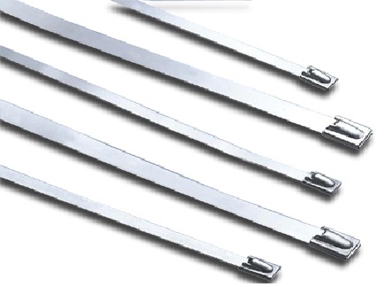 Ss Cable Tie